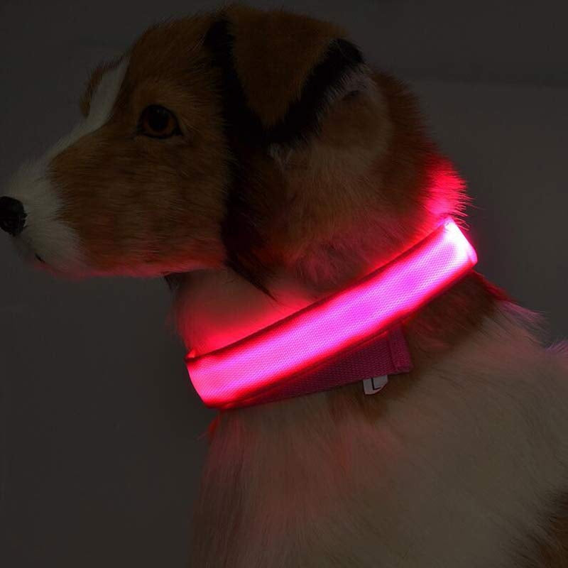 LumaSafe™ LED Dog Collar