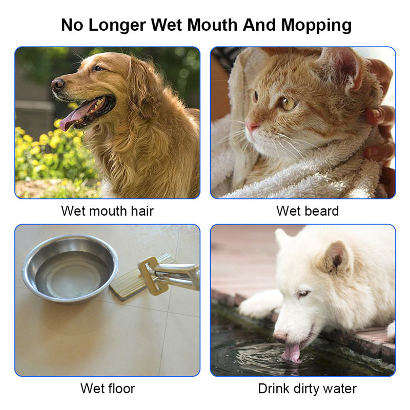 1.5L Cat/Dog Water Bowl - Carried Floating Bowl 