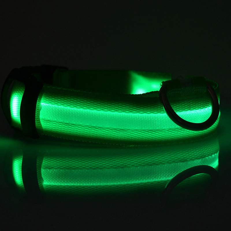 LumaSafe™ LED Dog Collar