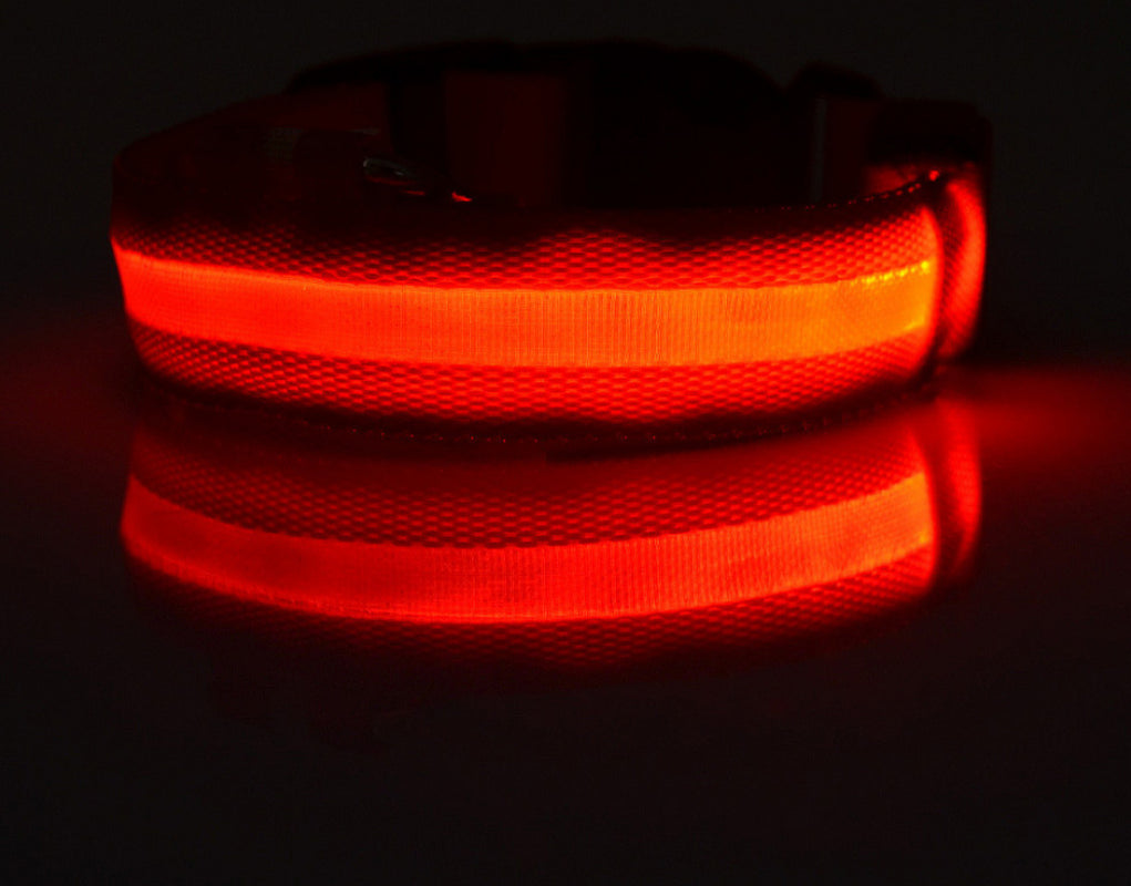 LumaSafe™ LED Dog Collar
