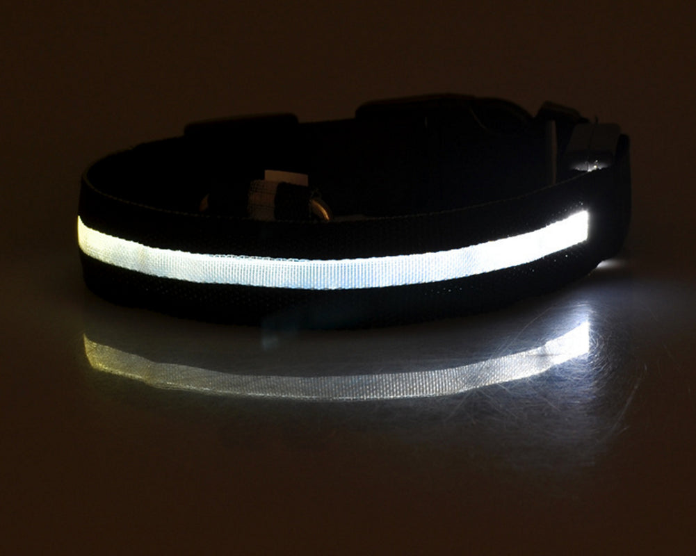 LumaSafe™ LED Dog Collar