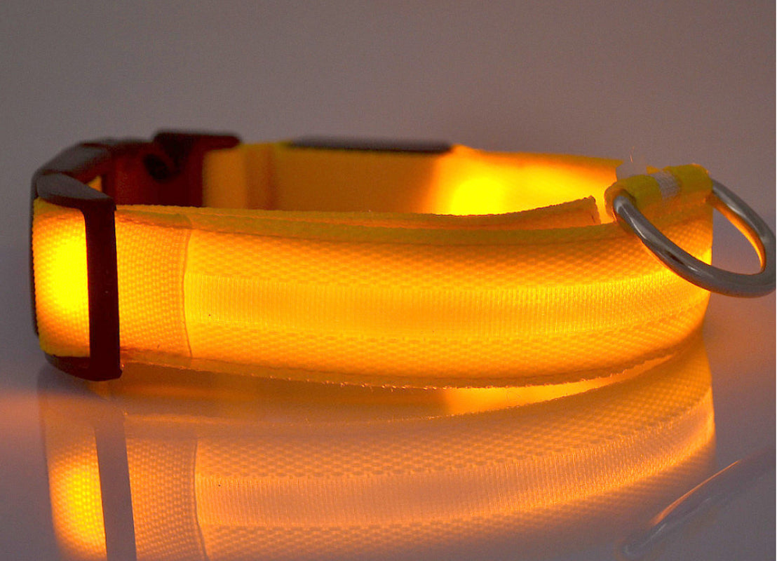 LumaSafe™ LED Dog Collar