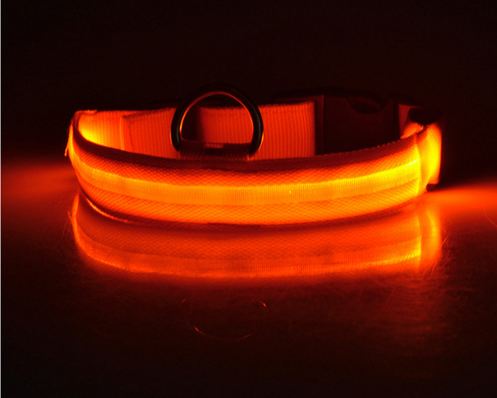 LumaSafe™ LED Dog Collar