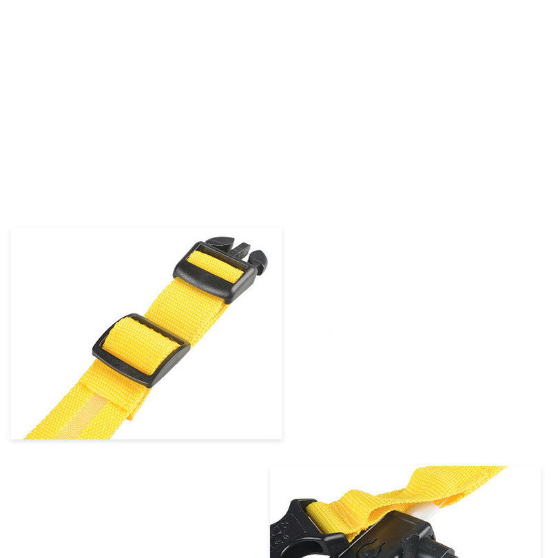 LumaSafe™ LED Dog Collar