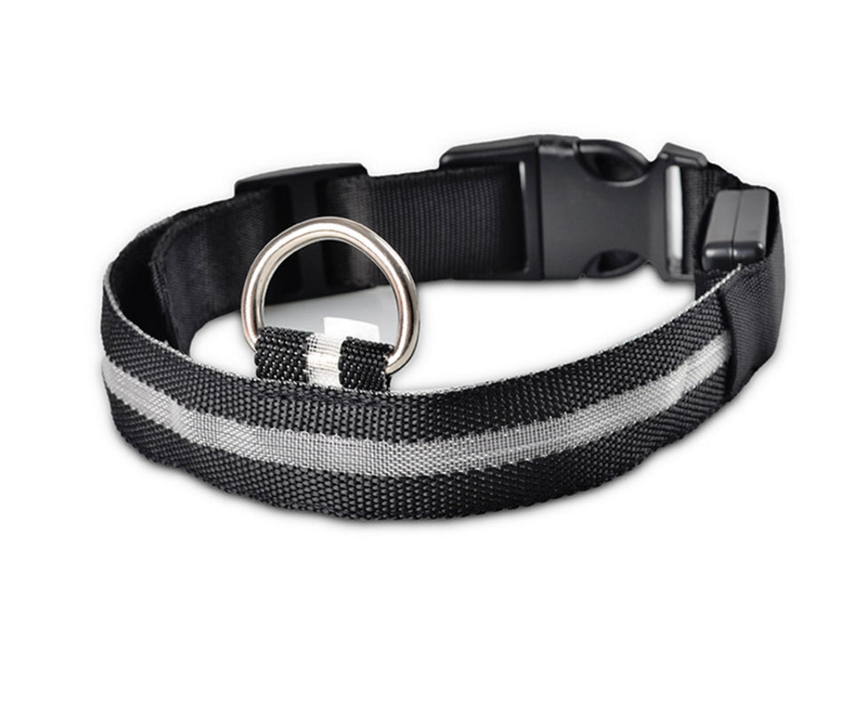 LumaSafe™ LED Dog Collar