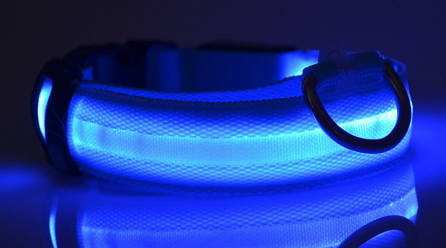 LumaSafe™ LED Dog Collar