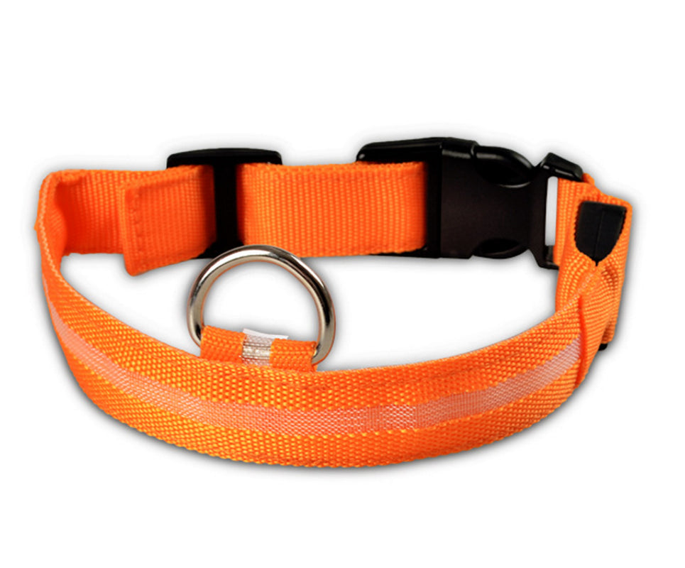 LumaSafe™ LED Dog Collar