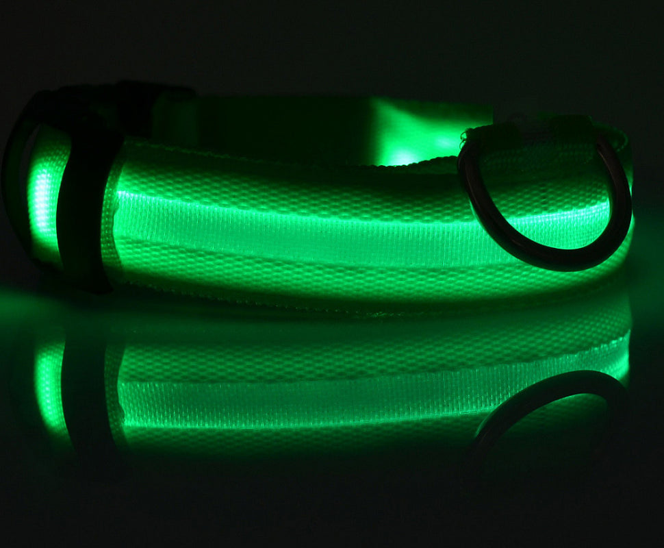 LumaSafe™ LED Dog Collar