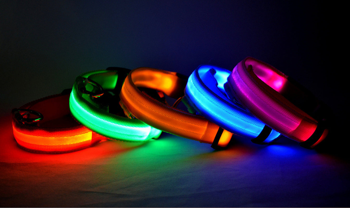 LumaSafe™ LED Dog Collar