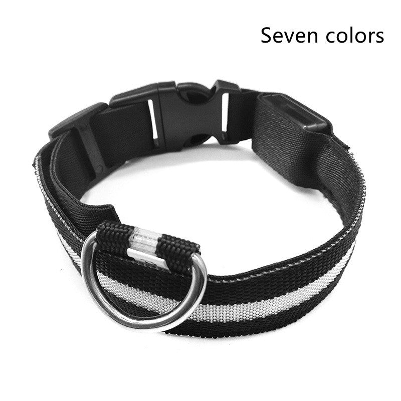 LumaSafe™ LED Dog Collar